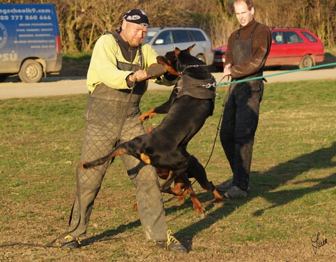 Training in Prague 3/2007